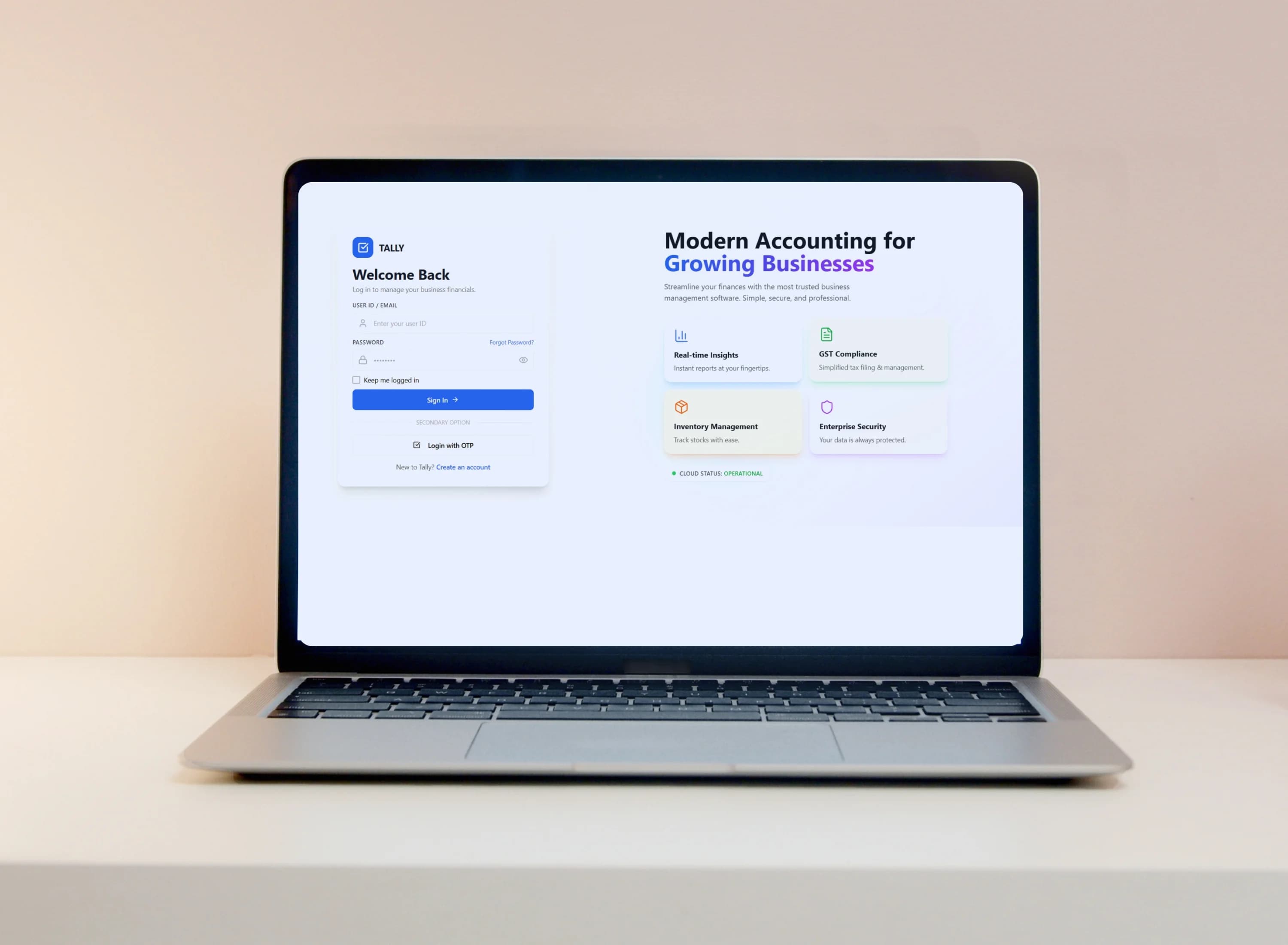 Accountomatic interface 2