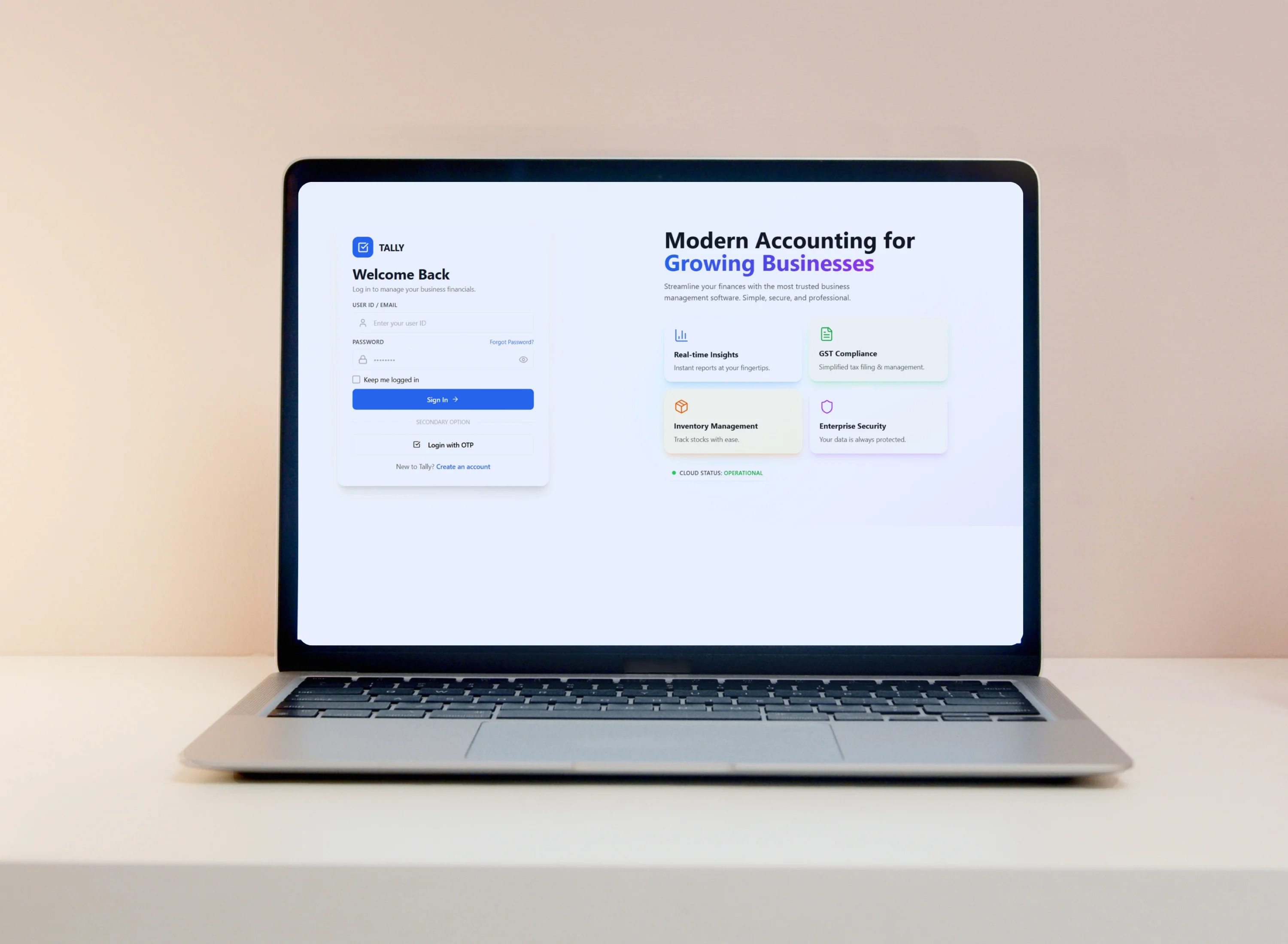 Accountomatic interface 2